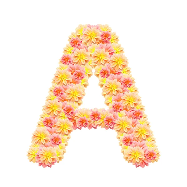 A, alfabeto de flores aislado en blanco —  Fotos de Stock
