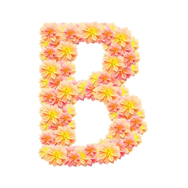 B, alfabet kwiat na białym tle — Zdjęcie stockowe
