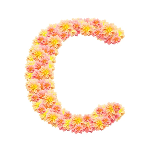 C, 흰색 절연 꽃 알파벳 — 스톡 사진