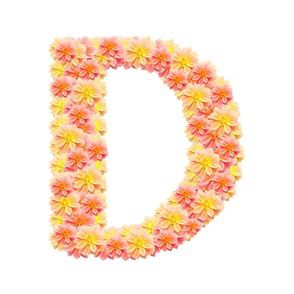 D, alfabeto floral isolado sobre branco — Fotografia de Stock