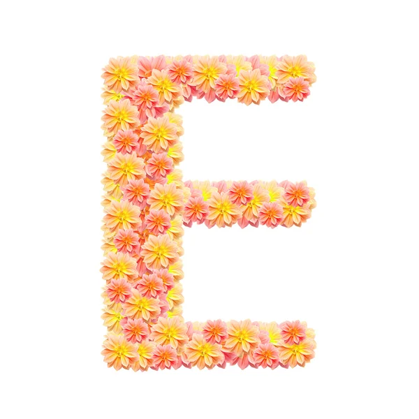 E, ตัวอักษรดอกไม้แยกจากสีขาว — ภาพถ่ายสต็อก