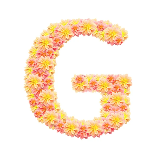G, alphabet floral isolé sur blanc — Photo