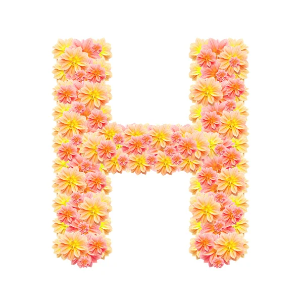 H, alphabet floral isolé sur blanc — Photo