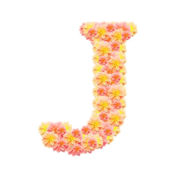 J, alfabeto de flores aislado en blanco — Foto de Stock
