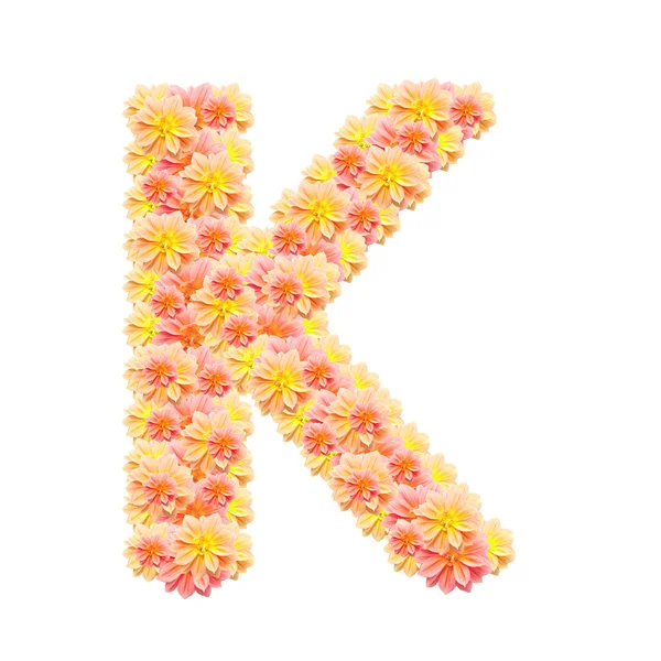 K, Blumenbuchstaben isoliert auf Weiß — Stockfoto
