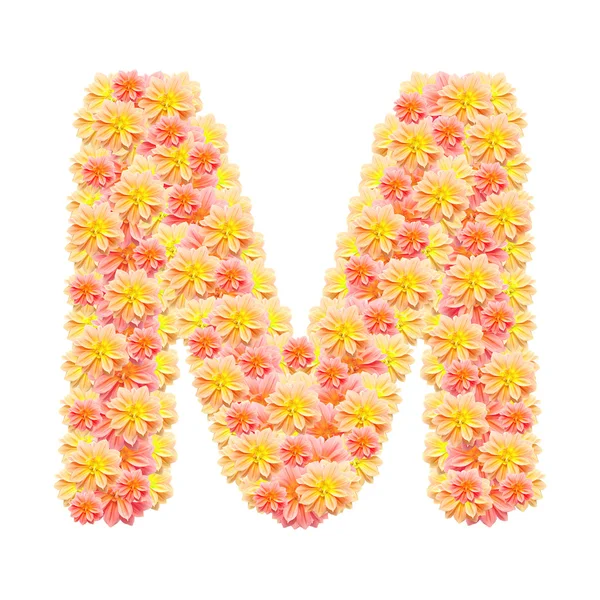 M, квіткова абетка ізольована на білому — стокове фото