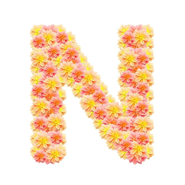 N, цветочный алфавит изолирован на белом — стоковое фото