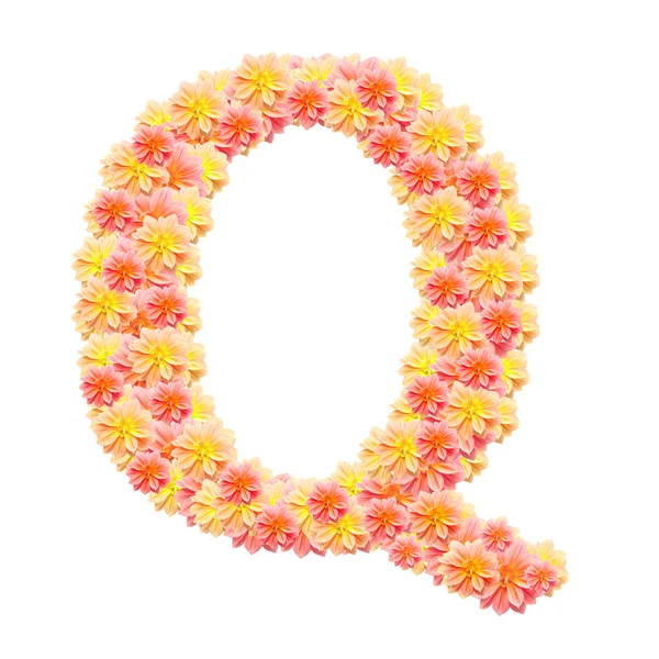 Q, Blume Alphabet isoliert auf weiß — Stockfoto