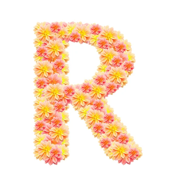 R, üzerinde beyaz izole çiçek alfabesi — Stok fotoğraf