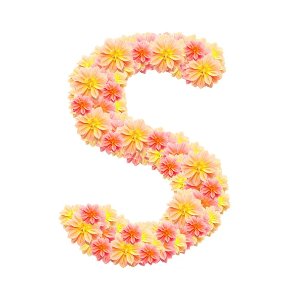 S, 꽃 알파벳 흰색 절연 — 스톡 사진