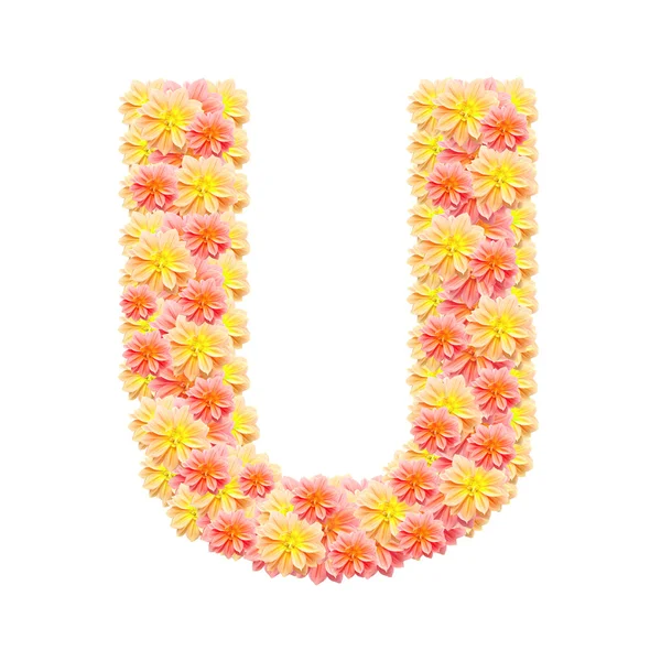 U, Blume Alphabet isoliert auf weiß — Stockfoto
