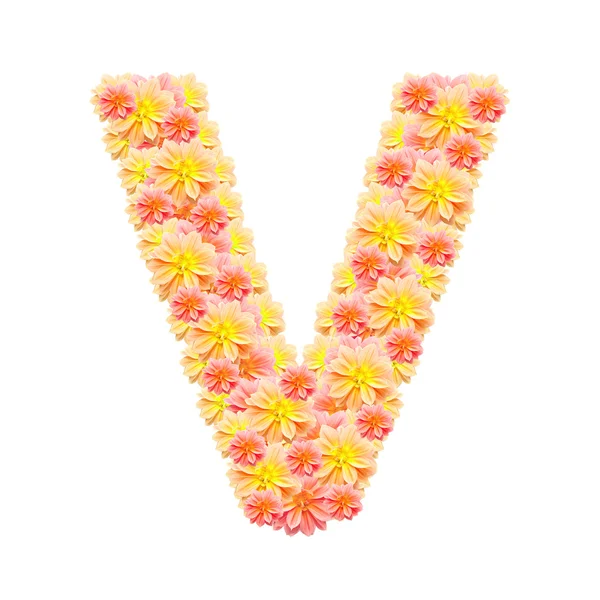 V, цветочный алфавит изолирован на белом — стоковое фото