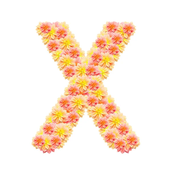 X, alfabeto floreale isolato su bianco — Foto Stock
