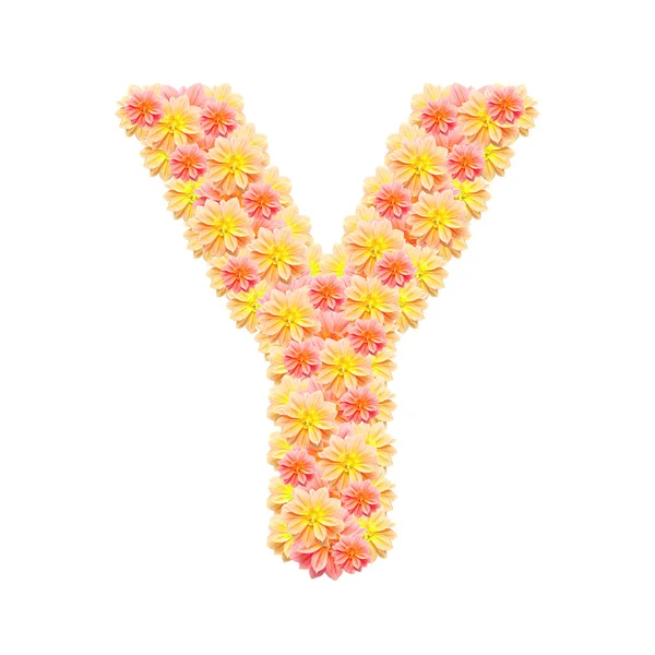 Y, üzerinde beyaz izole çiçek alfabesi — Stok fotoğraf