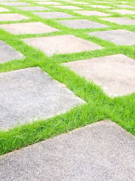 Травянистые плитки гуляют по саду — стоковое фото