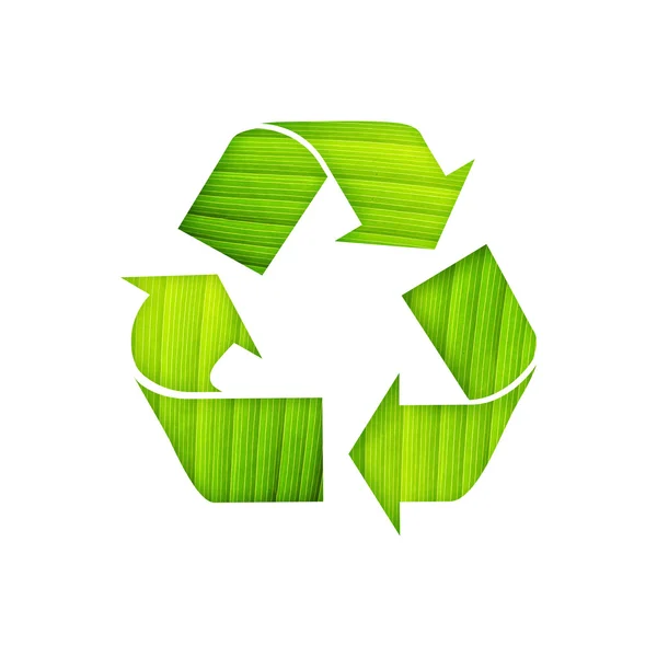 Σύμβολο ανακύκλωσης με λεπτομέρεια φύλλων σε απομονωμένες φόντο — Φωτογραφία Αρχείου