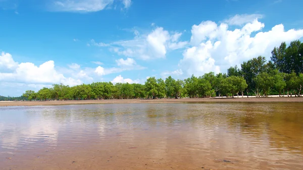 Lanscape de praia tropical com manguezal no sul de Tha — Fotografia de Stock