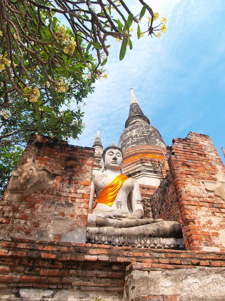 Buda heykelinin wat yai chai mongkol-ayuttaya, Tayland — Stok fotoğraf