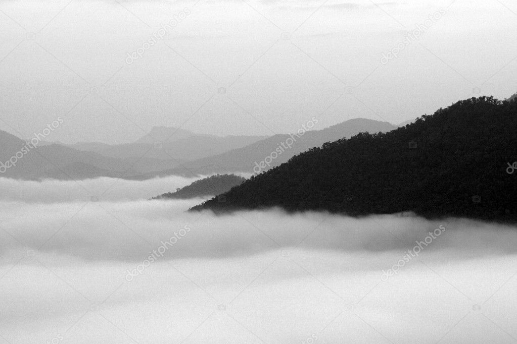 Black and white, The fog mist and the mountain in Thailand