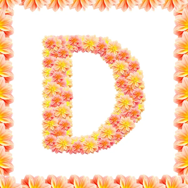 D, alfabeto de flores aislado en blanco con llama — Foto de Stock