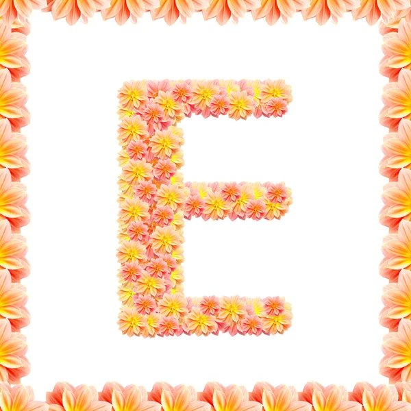 E, beyaz alev ile izole çiçek alfabesi — Stok fotoğraf