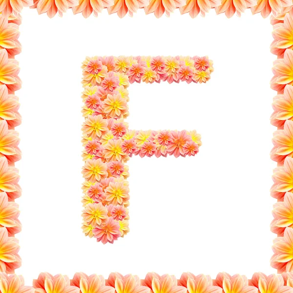 F, цветочный алфавит изолирован на белом с пламенем — стоковое фото