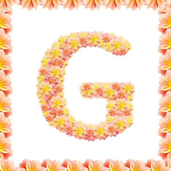 G, alfabeto de flores aislado en blanco con llama —  Fotos de Stock