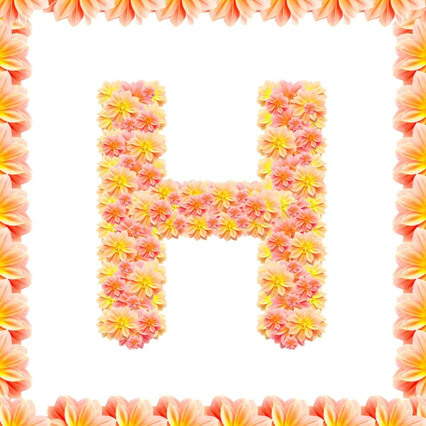 H, alphabet floral isolé sur blanc avec flamme — Photo