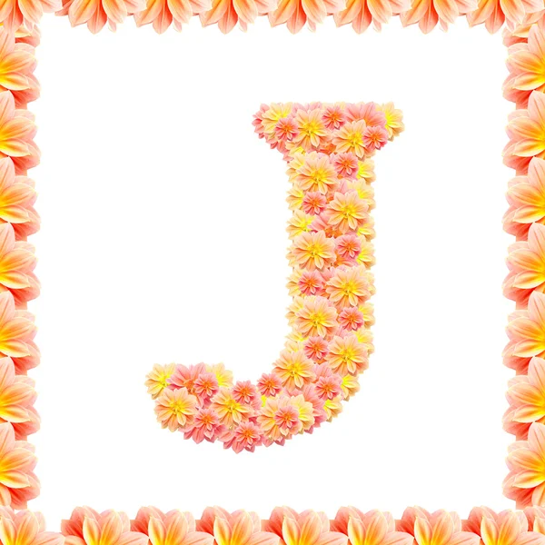 J, квіткова абетка ізольована на білому з полум'ям — стокове фото