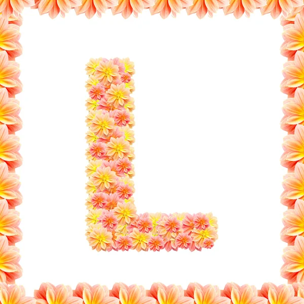 L, alfabeto de flores aislado en blanco con llama — Foto de Stock