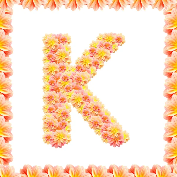 K, alphabet floral isolé sur blanc avec flamme — Photo