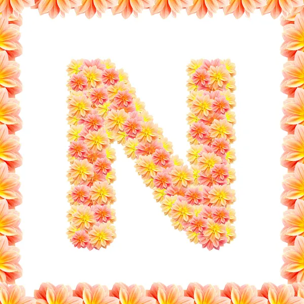 N, alphabet floral isolé sur blanc avec flamme — Photo