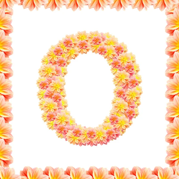 O,flower alphabet isolated on white with flame — Stock Photo, Image