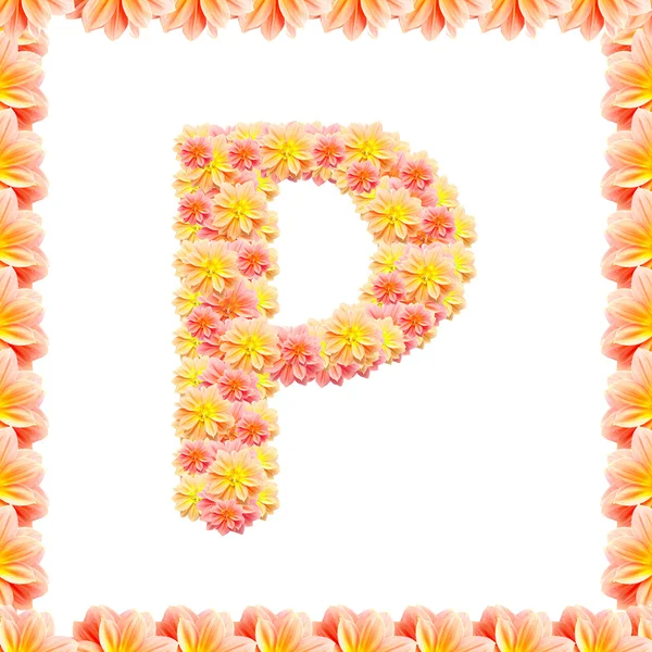 P, Blumenbuchstaben isoliert auf Weiß mit Flamme — Stockfoto