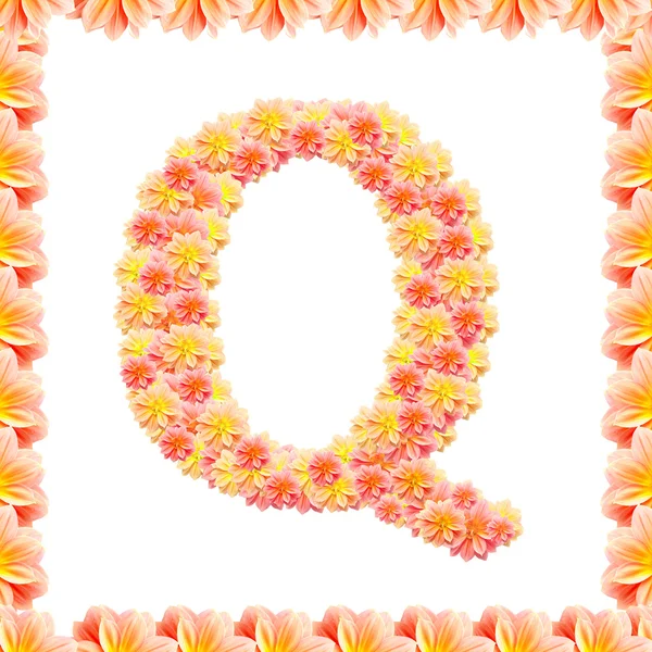 Q、炎を白で隔離される花アルファベット — ストック写真