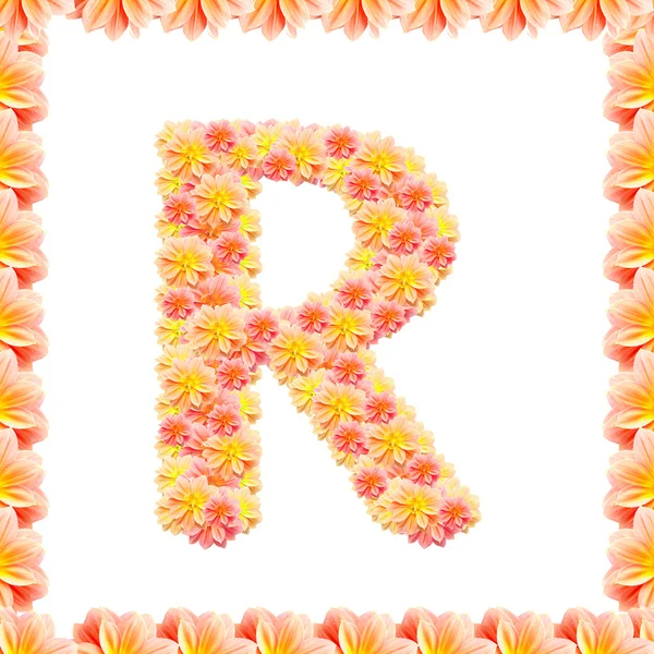 炎と白で隔離される花アルファベット r — ストック写真