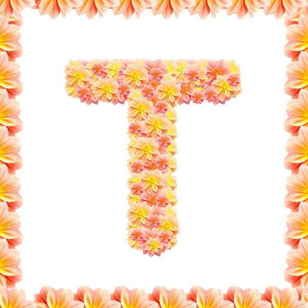 T, beyaz alev ile izole çiçek alfabesi — Stok fotoğraf