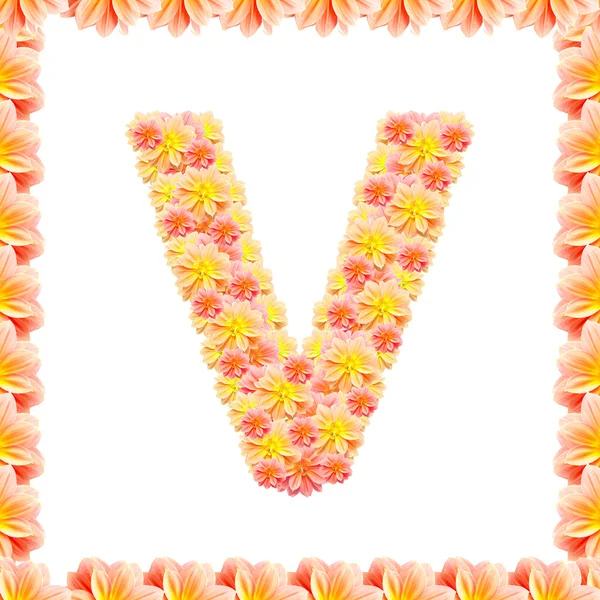 V, alfabeto floral isolado em branco com chama — Fotografia de Stock