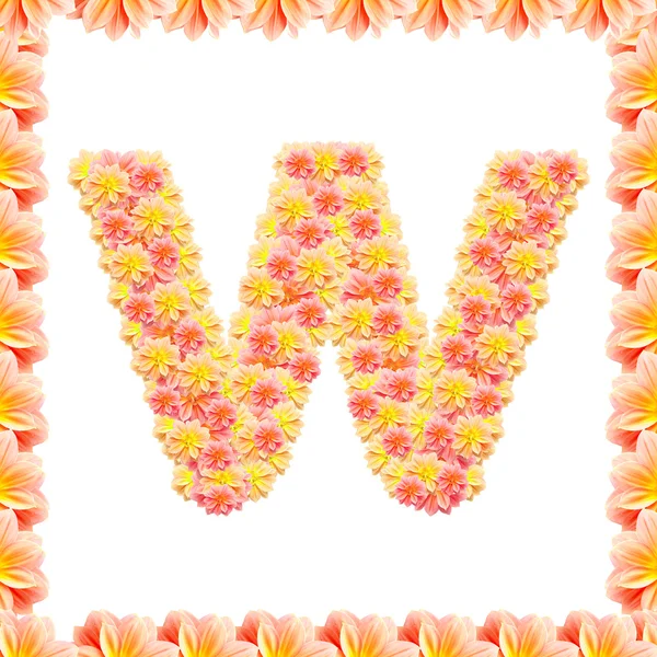 W, alfabeto de flores aislado en blanco con llama — Foto de Stock