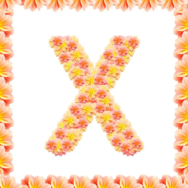 X, alfabeto de flores aislado en blanco con llama — Foto de Stock