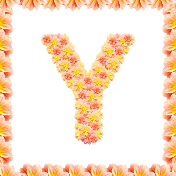 Y, alfabeto floral isolado em branco com chama — Fotografia de Stock