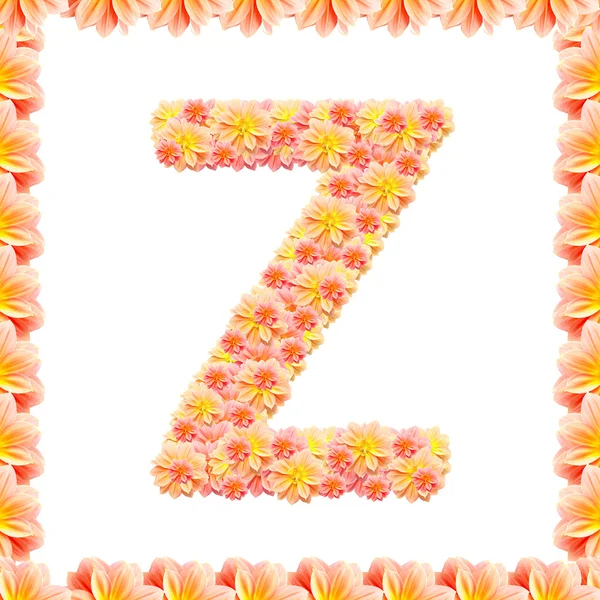 Z, Blumenbuchstaben isoliert auf Weiß mit Flamme — Stockfoto