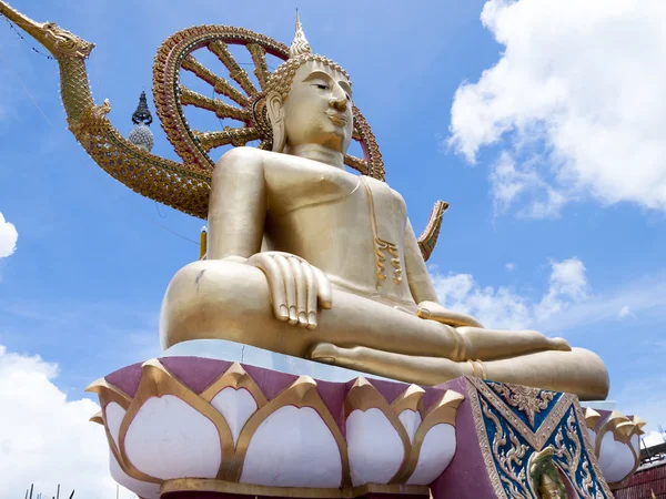 泰国的buddha雕像 — 图库照片