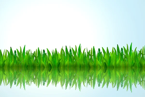 Na białym tle zielonej trawy z wody odbicie na niebieskim tle — Zdjęcie stockowe