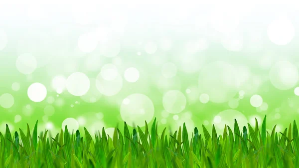 Fondo de tono verde abstracto con hierba verde — Foto de Stock