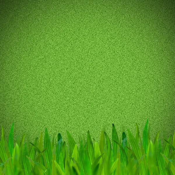 Fotboll eller fotboll fält med grönt gräs förgrunden — Stockfoto