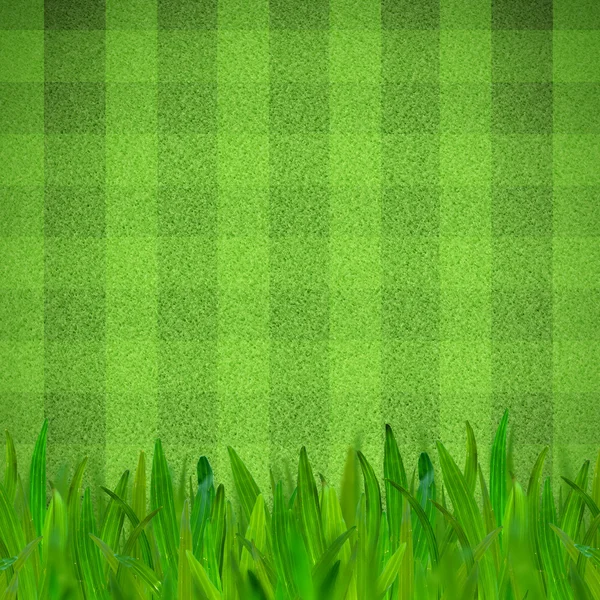 Fotboll eller fotboll fält med grönt gräs förgrunden — Stockfoto