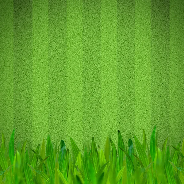 Футбольне або футбольне поле з зеленою травою на передньому плані — стокове фото