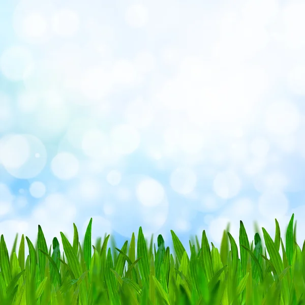 Abstrato tom azul bokeh fundo com grama verde . — Fotografia de Stock