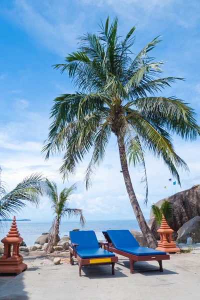 Stolar på tropisk strand, palm tree — Stockfoto